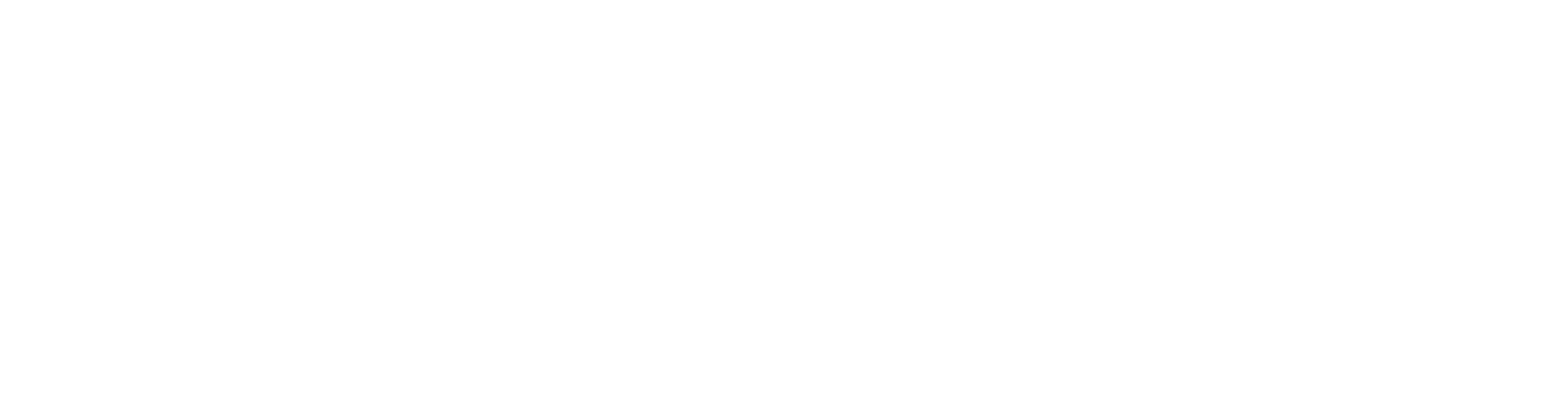Data Cloud white logo